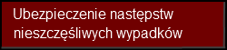 Ubezpieczenie następstw nieszczęśliwych wypadków