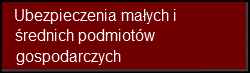 Ubezpieczenie małych i średnich podmiotów gospodarczych