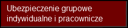 Ubezpieczenie grupowe indywidualne i pracownicze