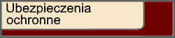 Ubezpieczenia ochronne